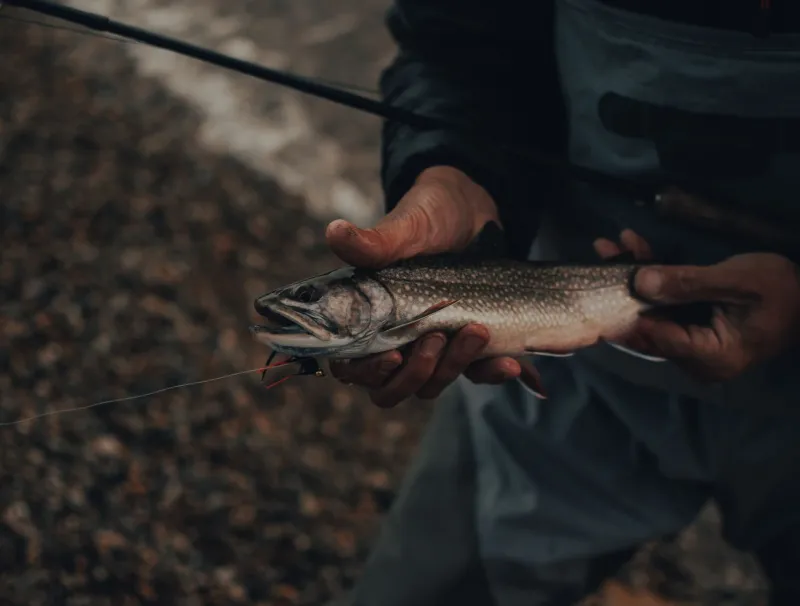 Years in the Making: The Obsessive Art of Hunting Utah's Legendary Trophy Fish