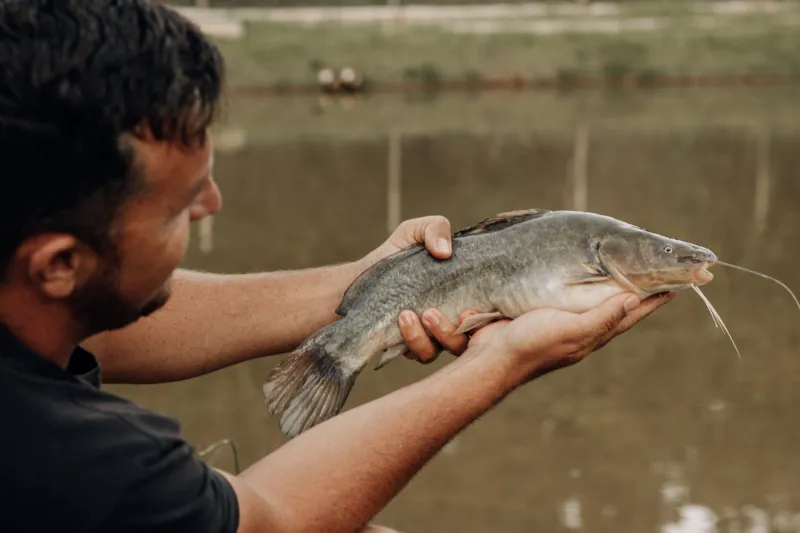After Dark on the Water: Chasing Walleye and Catfish Through Utah's Warm Summer Nights