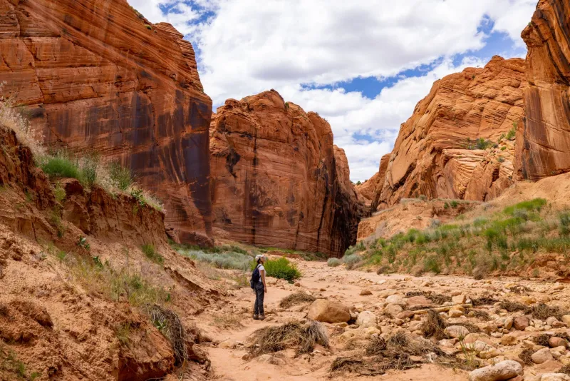 See the Climb Before You Touch It: A Field Guide to Visual Scouting Utah Rock